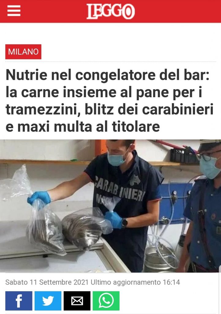 Nutrie nel congelatore del bar