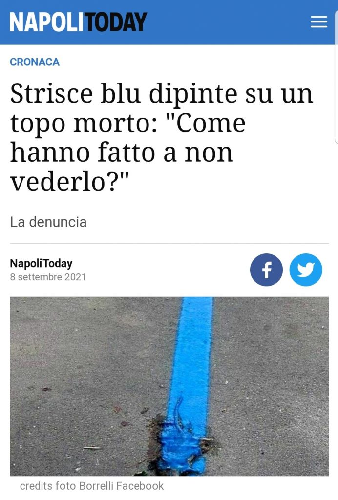 È evidente che a Caivano, come saputo attraverso le cronache e la segnalazione dei cittadini, che c’è un problema di topi che va risolto al più presto, per cui chiediamo all’Asl dei massici interventi di derattizzazione.