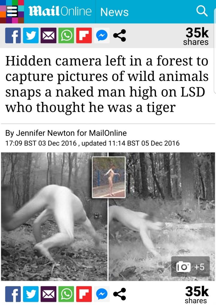 A hidden camera left in a forest to snap images of animals in the wild captured pictures of a naked man who believed he was a tiger after taking LSD.
The man, only identified as Marek H from the Czech Republic, took the drug to try and treat his depression.
But after taking LSD he then ran off into the Polish forest, stripped naked and starting behaving like a tiger.