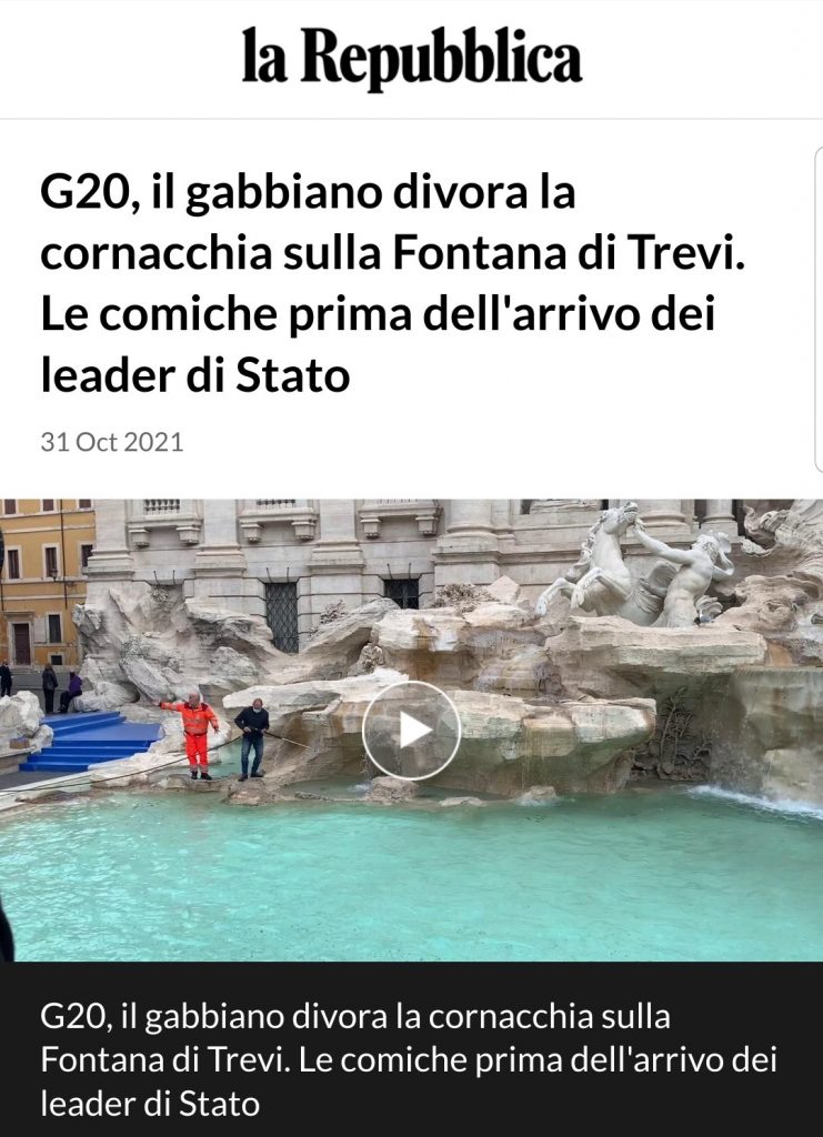 G20, il gabbiano divora la cornacchia sulla Fontana di Trevi