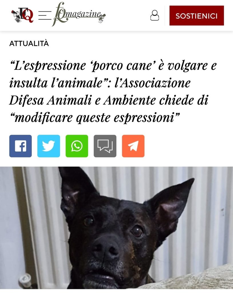 “L’espressione ‘porco cane’ è volgare e insulta l’animale”: l’Associazione Difesa Animali e Ambiente chiede di “modificare queste espressioni”